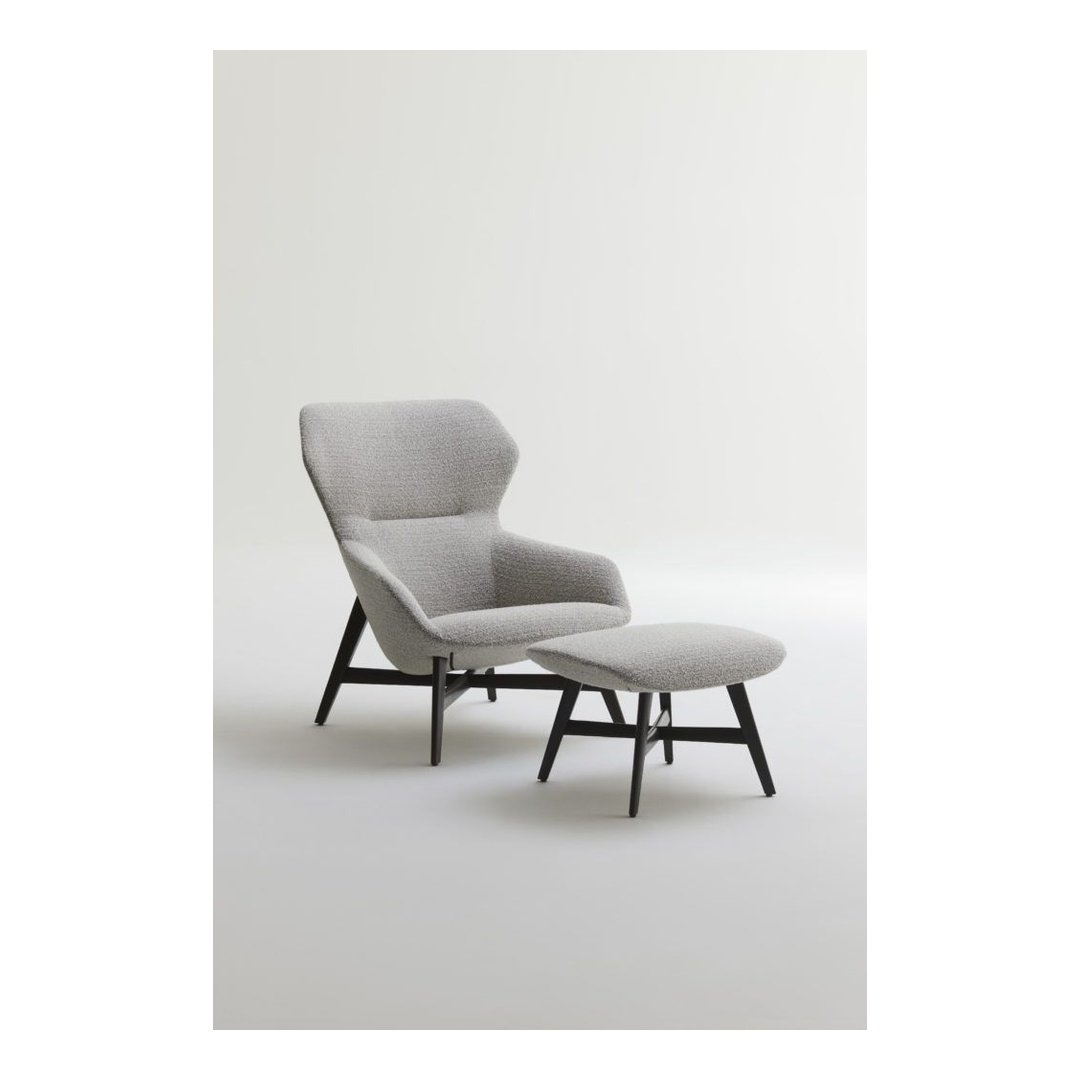 Modern Lounge Chair with Ottoman