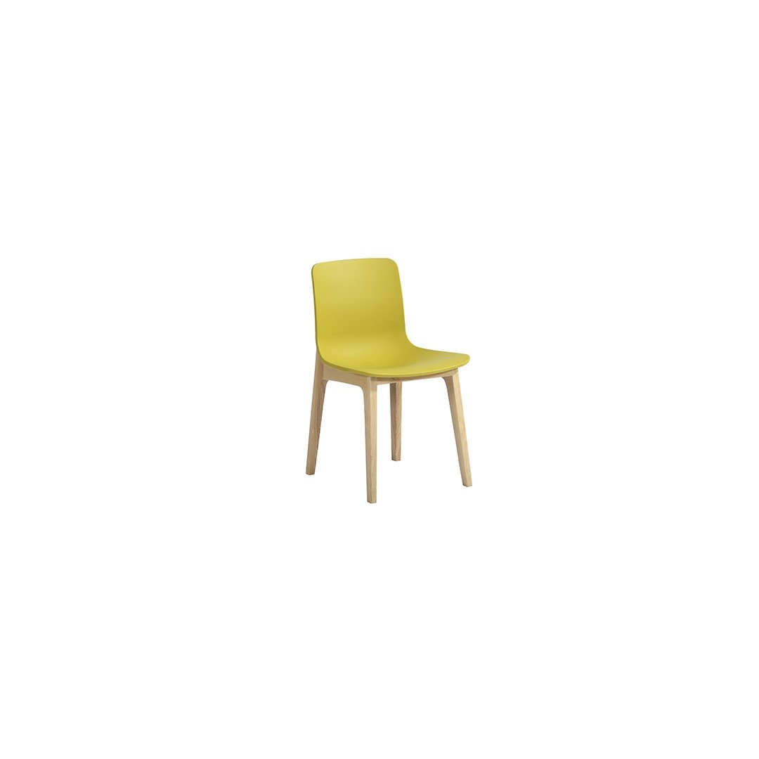 Modern Plastic & Wooden Dining Chair