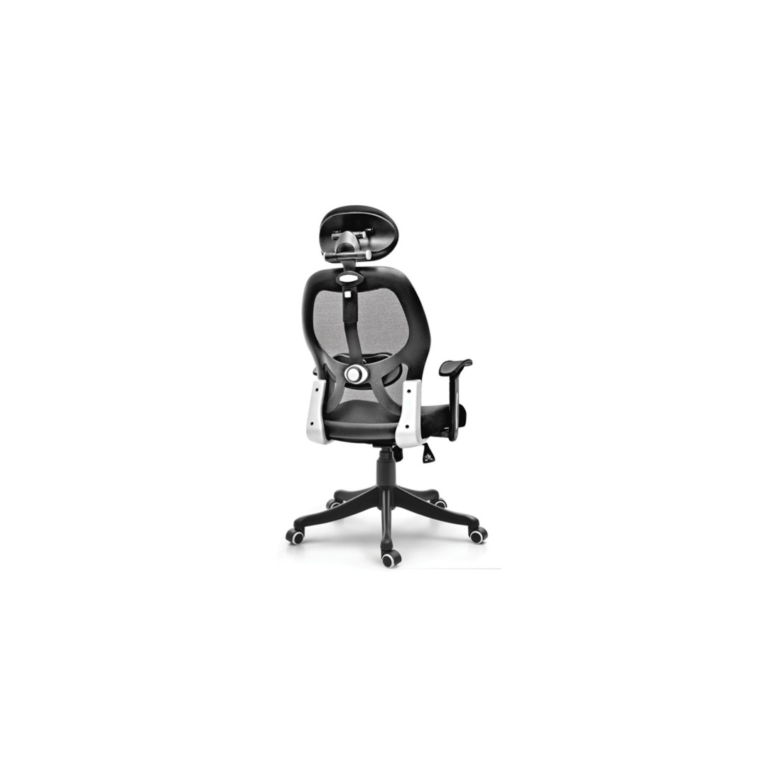 Ergonomic Executive Office Chair