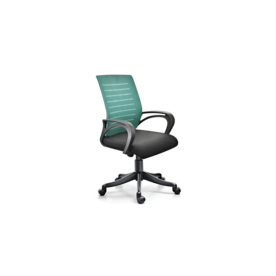 Ergonomic Mesh Office Chair