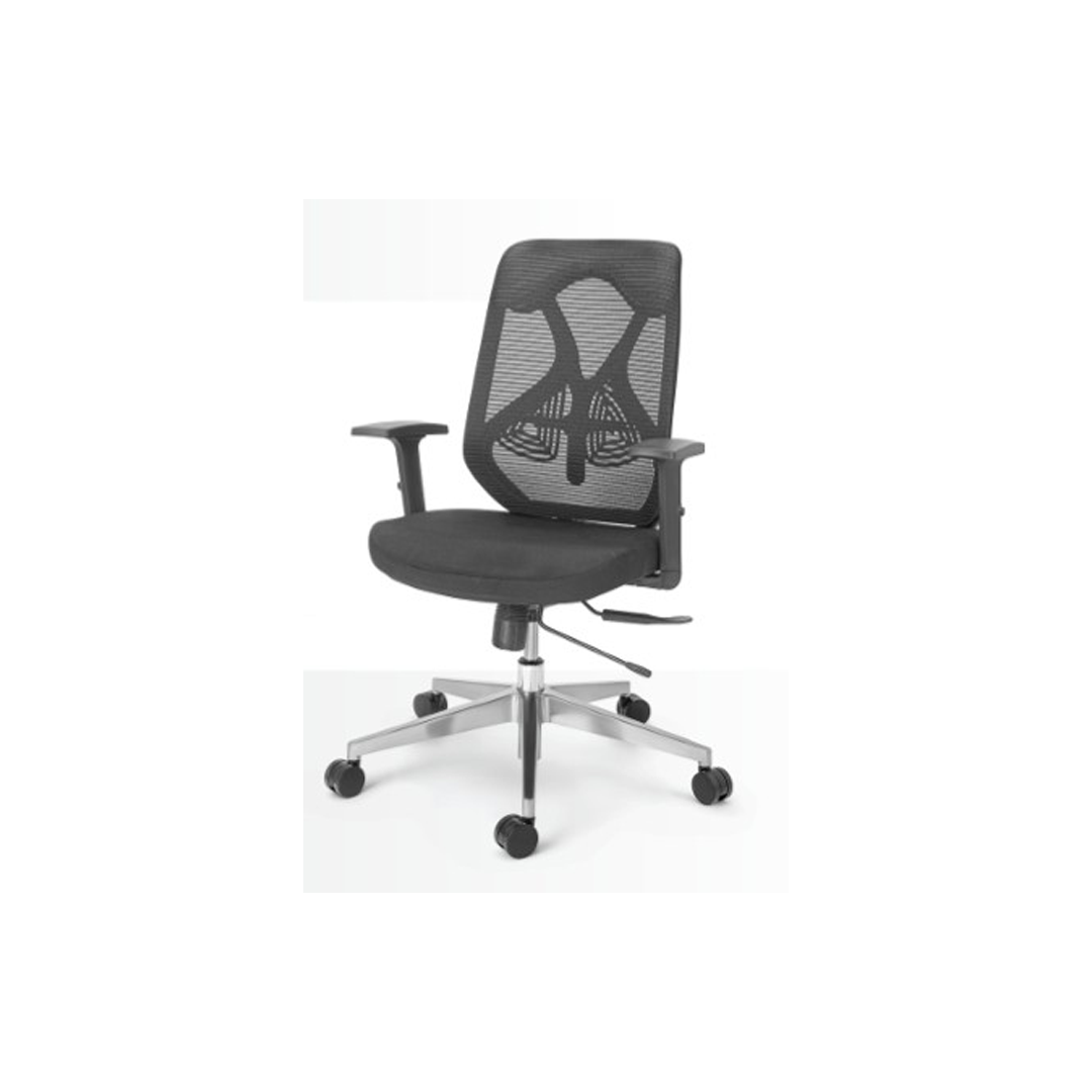 Premium Ergonomic Office Chair
