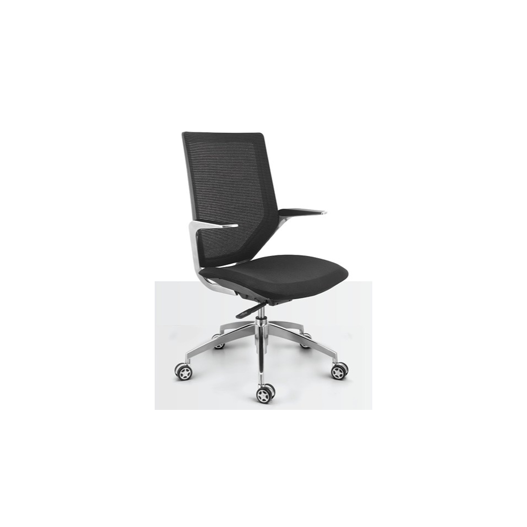 Premium Ergonomic Office Chair
