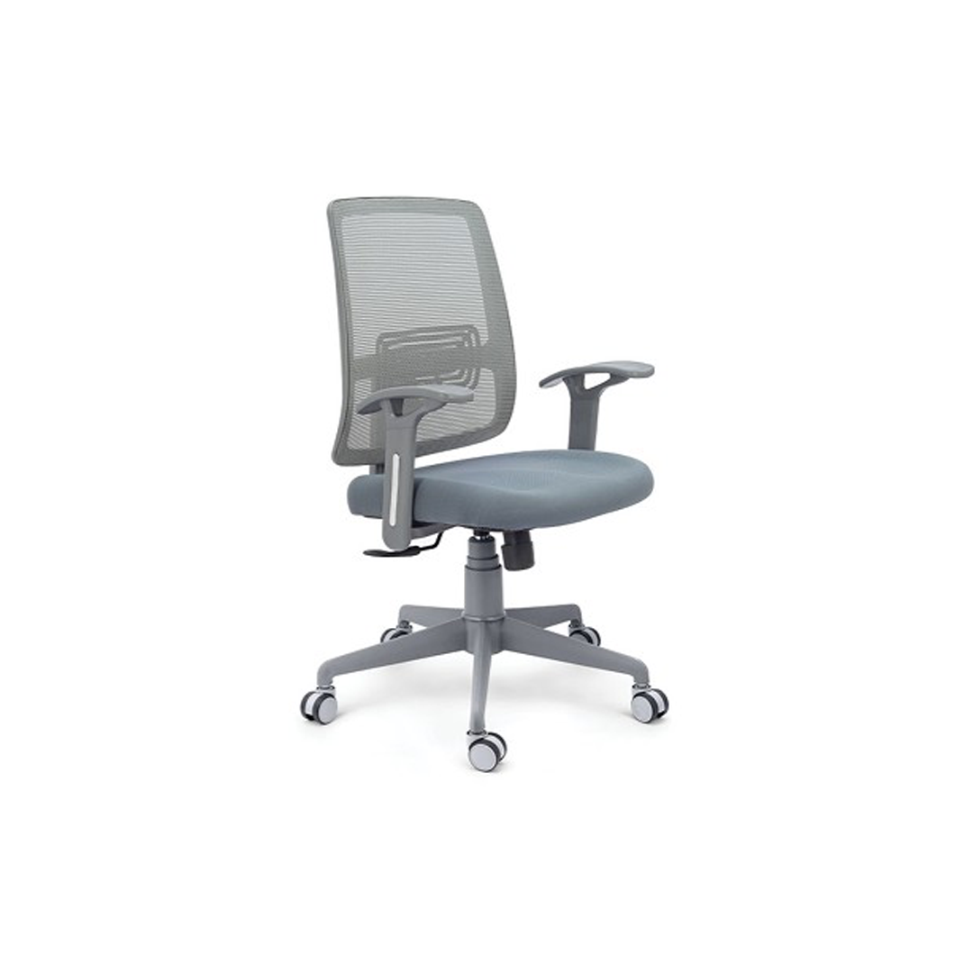 Ergonomic Mesh Office Chair
