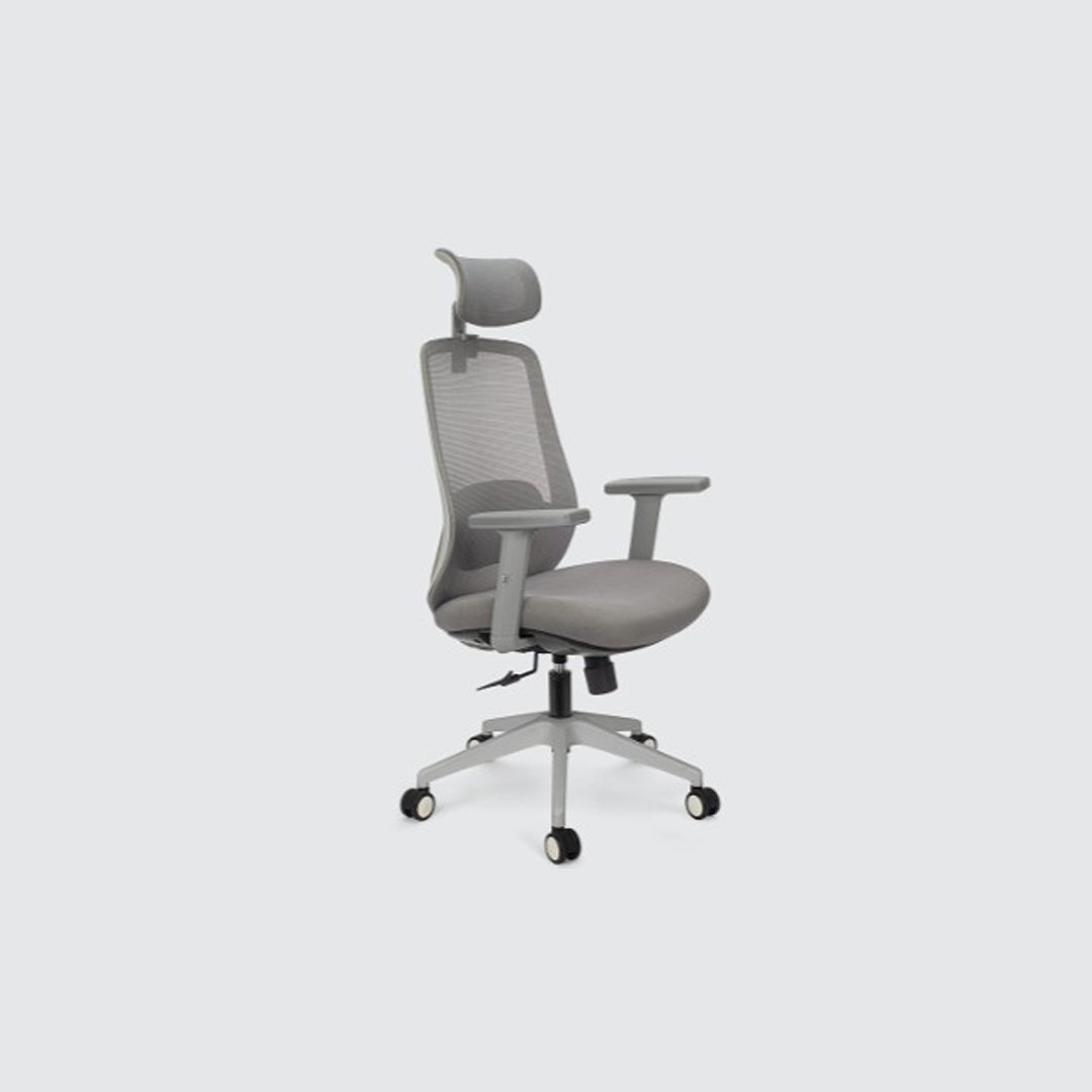 Premium Ergonomic Office Chair